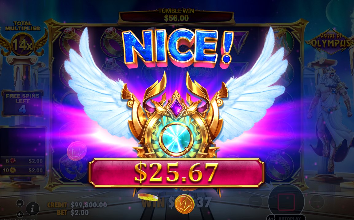 Free Spins screen where the TOTAL MULTIPLIER builds